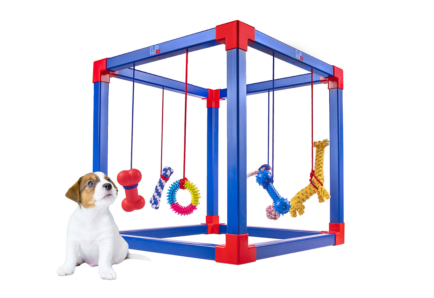Dog Playground Equipment, Puppy